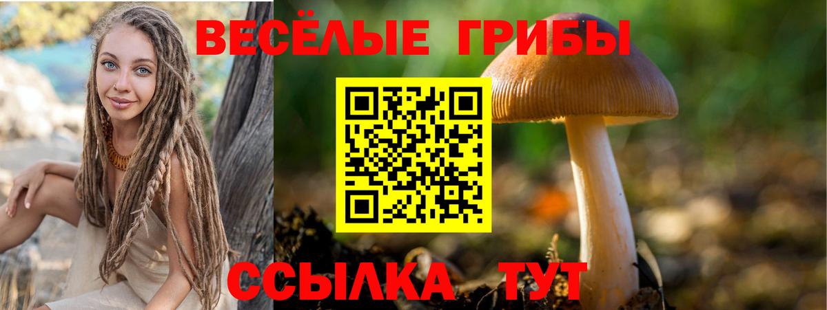 Псилоцибиновые грибы MAGIC MUSHROOMS Заинск